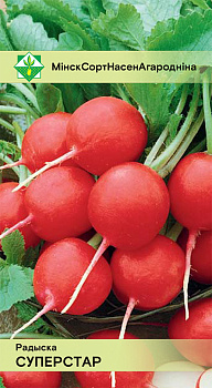 Редис Суперстар 2г.