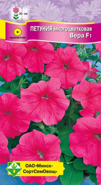 Петуния гибр многоцв Вера F1, 10шт