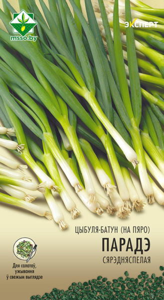 Лук-батун (на перо) Параде 100шт