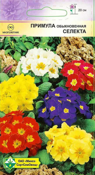 Примула Селекта см 0,05 г