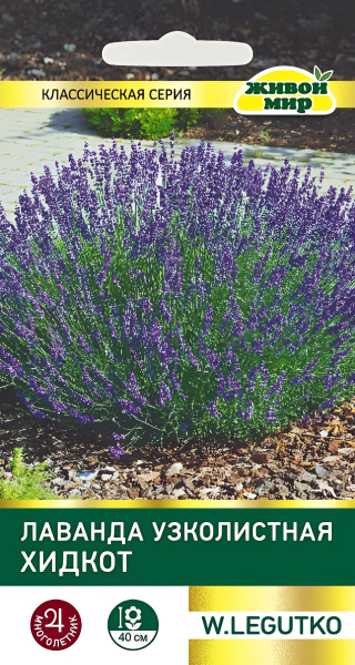 Лаванда узколистная Хидкот 0,1 гр.