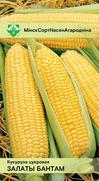 Кукуруза Золотой бантам сахарная 4г.