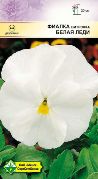 Фиалка Витрокка Белая Леди  0,1г