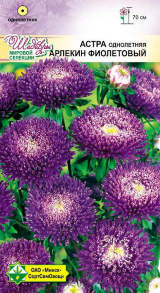 Астра Арлекин Фиолетовый 0,2 г