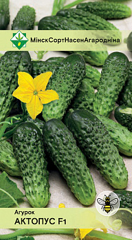 Огурец Октопус F1 10шт.