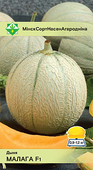Дыня Малага F1 6шт, Польша