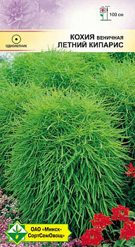 Кохия веничная Летний кипарис 0,5г