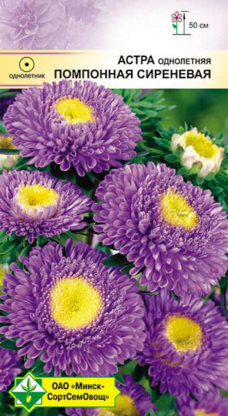 Астра Помпонная Сиреневая 0,3 г.