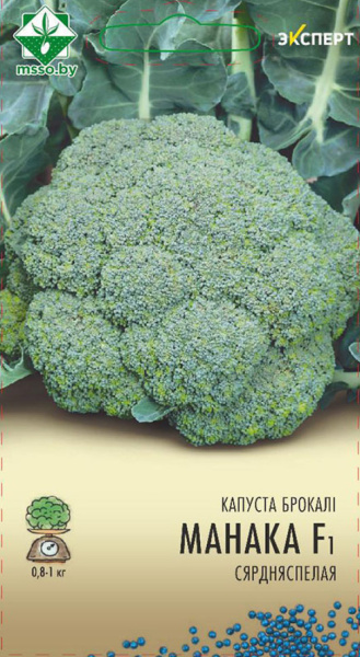 Капуста брокколи Монако F1 (Эксперт) 12 шт