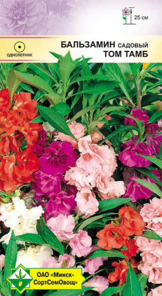 Бальзамин садовый Том Тамб 0,5 г