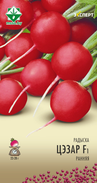 Редис Цезарь F1  1г., Нидерланды