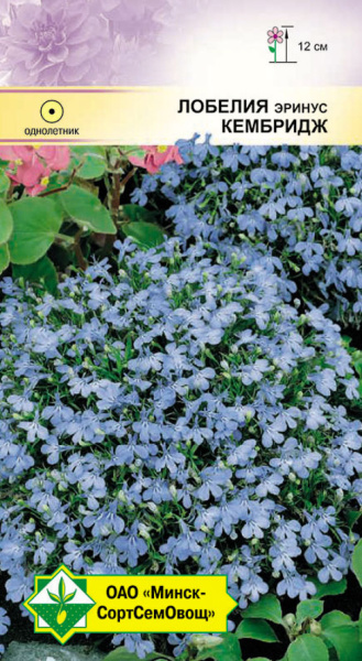 Лобелия эринус Кембридж 0,05г