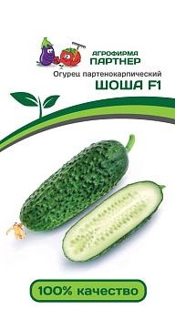 Огурец Шоша F-1 (5шт)