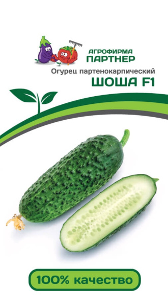 Огурец Шоша F-1 (5шт)