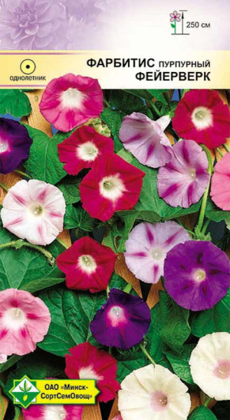 Фарбитис пурпурный Фейерверк см 1,5г