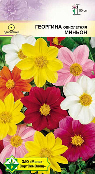 Георгина Пикколо Миньон смесь (W.Legutko)  0,5 г