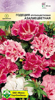 Годеция крупноцветковая Азалиецветная 0,3г