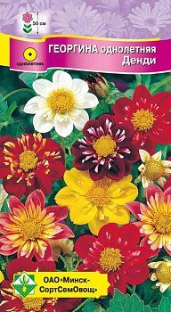 Георгина однолетняя Денди см 0,3г