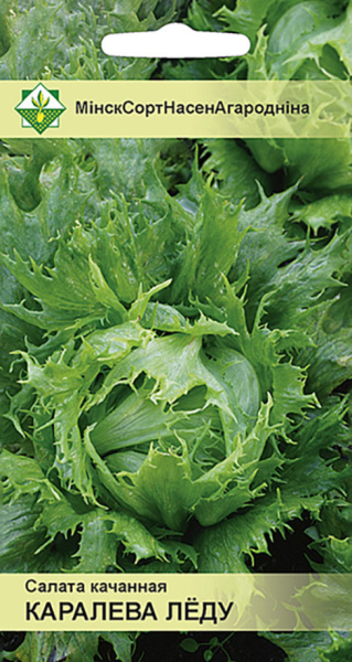 Салат Королева льда кочанный 0,5г