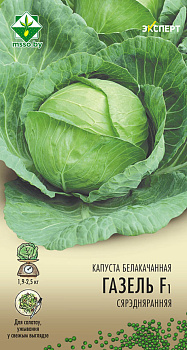 Капуста б/к Газель F1 , 12 шт.