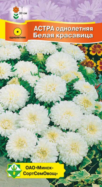 Астра Карликовая Белая красавица 0,3г.