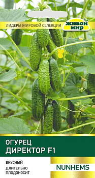 Огурец ДИРЕКТОР F1 (5шт) ЗК
