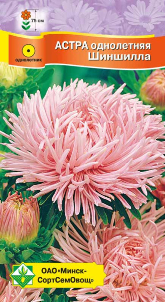 Астра Краллен Шиншилла 0,3г.