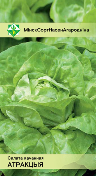 Салат кочанный Атракция (W.Legutko) 1г