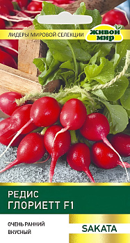 Редис Глориетт F1 (Sakata) 100 шт