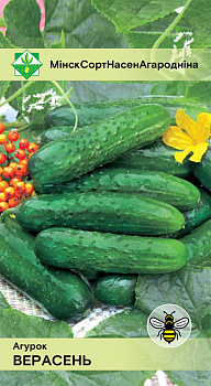 Огурец Верасень 0,6г