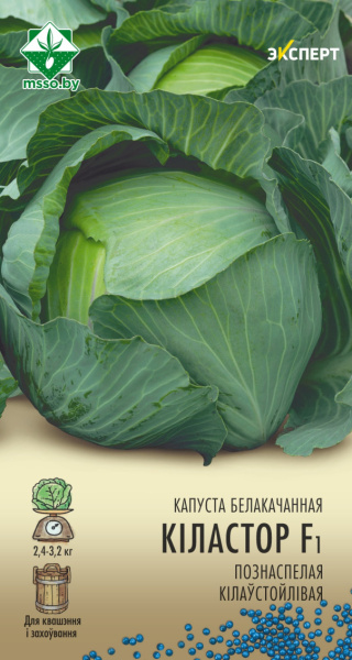 Капуста Киластор  F1 ,б/к 12 шт. Эксперт