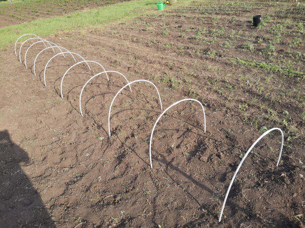 Парник Туннель 700х100х50 см