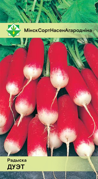 Редис Дуэт, 2 г