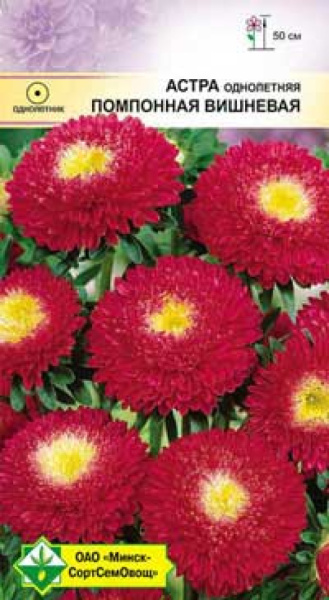 Астра Помпонная Вишневая 0,3г
