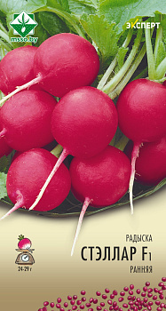 Редис Стеллар F1 1г (Эксперт)