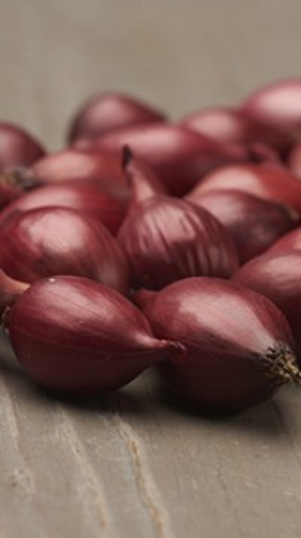 Лук-севок Кармен (выборок) (калибр 21-24мм) 0,5кг