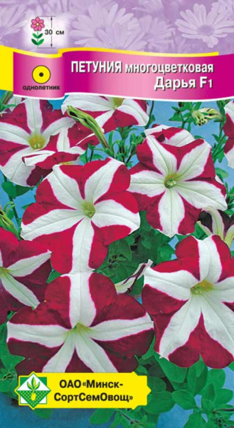 Петуния гибр многоц. Дарья F1 10 шт