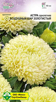 Астра Воздушный шар Золотистый 0,1г.