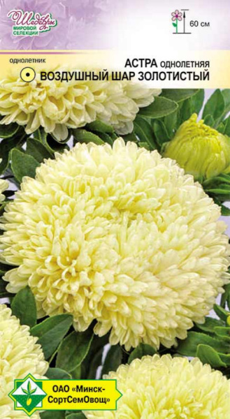 Астра Воздушный шар Золотистый 0,1г.