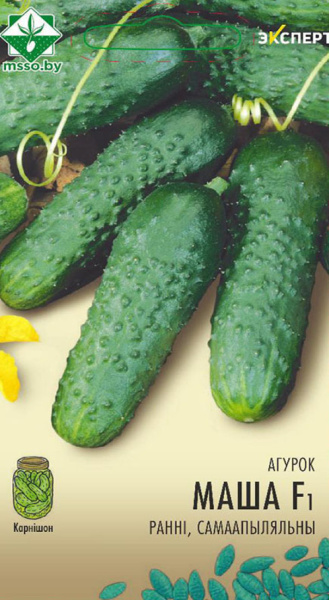 Огурец Маша F1 7шт (Эксперт)
