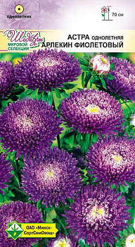 Астра Арлекин Фиолетовый 0,2 г