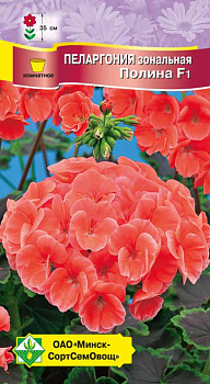 Пеларгония зональная Полина F1 4 шт
