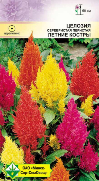 Целозия Перистая Летние костры см 0,2г.