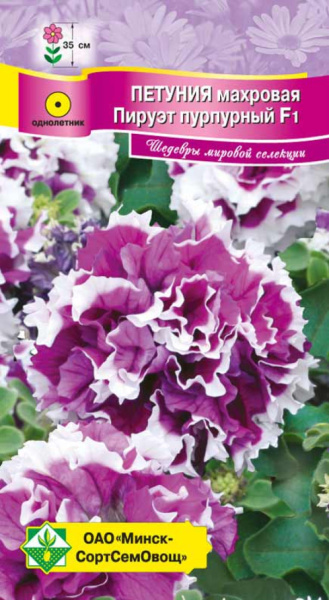 Петуния гибр махровая Пируэт пурпурный F1, 7шт