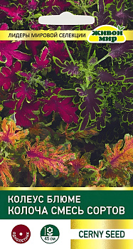 Колеус блюме Колоча смесь 10шт