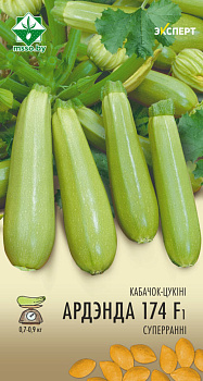 Кабачок Ардендо 174 F1 6шт (Эксперт)