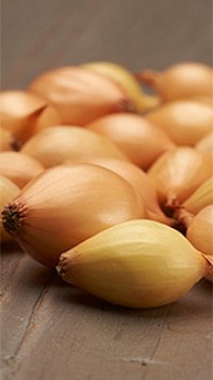 Лук-севок Купидо (калибр 10-21мм), 0,5кг