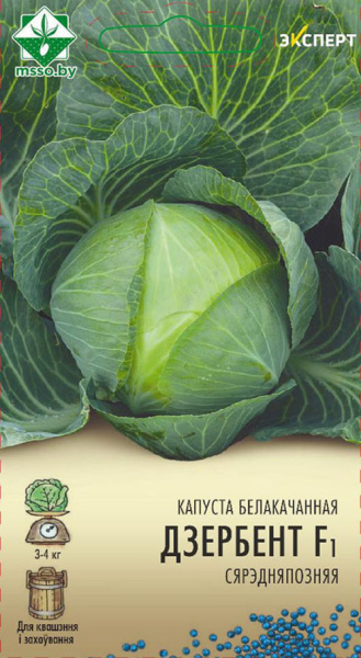 Капуста Дзербент  F1 ,б/к 12 шт.