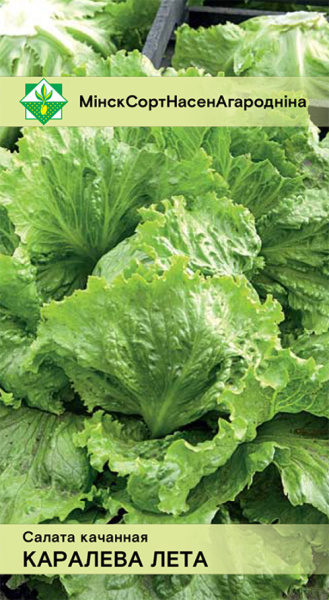 Салат Королева лета кочанный 0,5г