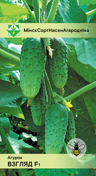 Огурец Взгляд F1 0,6